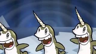 Narwhal Song [upl. by Assiral]