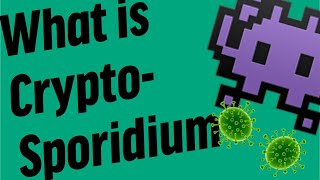 What is Cryptosporidium [upl. by Rehpretsirhc]