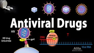 Antiviral Drugs Mechanisms of Action Animation [upl. by Nnyleve738]