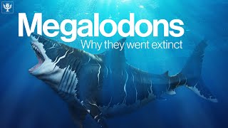 The Truth Behind Why Megalodon Went Extinct  Encyclopaedia Britannica [upl. by Venn569]