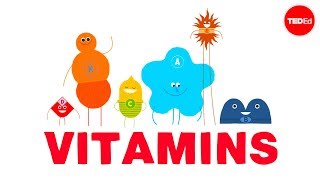 How do vitamins work  Ginnie Trinh Nguyen [upl. by Stanwinn912]