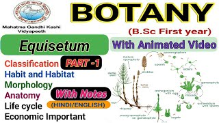 EquisetumMorphologyAnatomyReproductionlife cycle Part1 [upl. by Iralav143]