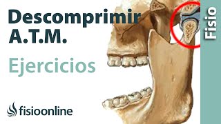 Ejercicio para descomprimir la articulación temporomandibular ATM [upl. by Cappella]