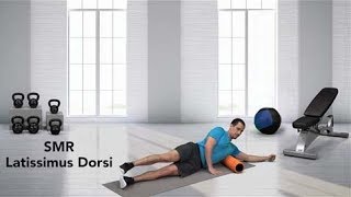 How to do a Self Myofascial Release SMR Latissimus Dorsi [upl. by Arracot309]