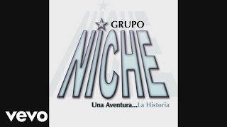 Grupo Niche  Miserable Cover Audio Video [upl. by Eiramrefinnej]