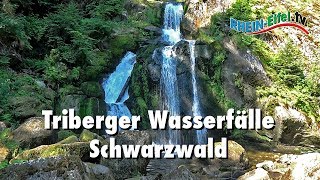 Triberger Wasserfälle  Schwarzwald  RheinEifelTV [upl. by Ayouqat]