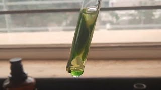 Extraction of Chlorophyll [upl. by Osnohpla21]