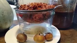 MEDLAR FERMENT EXPERIMENTS [upl. by Linis]