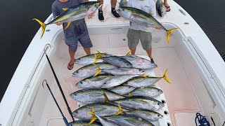 Yellowfin Tuna Slay WE LIMITED OUT Tuna Fishing [upl. by Asiuqram]