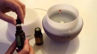 How to use a diffuser for your Essential Oils [upl. by Sandeep146]