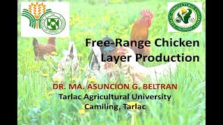 Free Range Chicken Layer Production [upl. by Hniv]