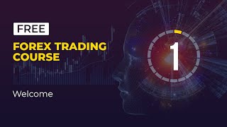 The Best Forex Trading for Beginners Course  Lesson 1 [upl. by Eimmaj]