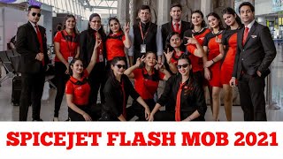 SPICEJET FLASH MOB 2021 CHENNAI  SPICEJET CABIN CREW DANCE  NEW YEAR WITH SPICEJET  CABIN CREW [upl. by Ahsenik]