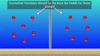 Variables in Science Independent Dependent and Controlled [upl. by Modie]