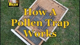 How A Pollen Trap Works Bee Pollen [upl. by Trilby]