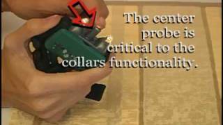 Guardian Bark Control Collar Instructions [upl. by Norreg]