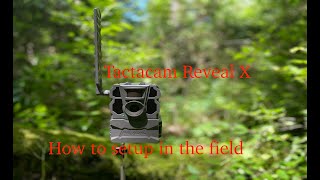 How to setup your Tactacam Reveal X in the field [upl. by Yoshio553]