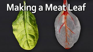 A Leaf Made of Meat [upl. by Aihsoem]