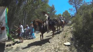 Romeria 2015 Algodonales [upl. by Manup]