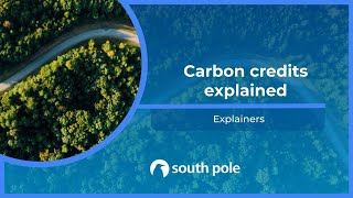 Carbon credits explained [upl. by Ieppet172]