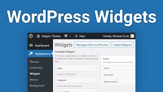 WordPress Widgets The Complete Guide [upl. by Rats421]