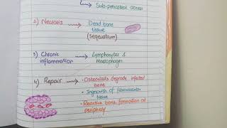 Acute Osteomyelitis And Chronic Osteomyelitis  Pathology [upl. by Knudson]