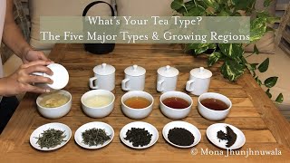 An Intro to Camellia Sinensis Whats Your Tea Type [upl. by Naxor]