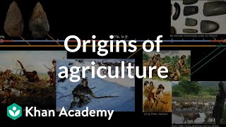 Origins of agriculture  World History  Khan Academy [upl. by Ahser515]