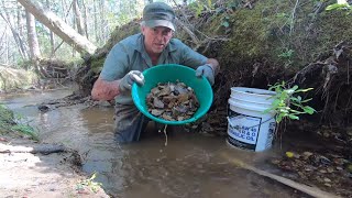 Panning And Sluicing For Gold In A Small Stream [upl. by Nhguahs]