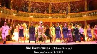 DIE FLEDERMAUS Operette von Johann Strauss [upl. by Emoreg437]