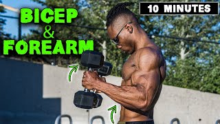 10 MINUTE LIGHTWEIGHT DUMBBELL BICEP amp FOREARM WORKOUT [upl. by Downing677]