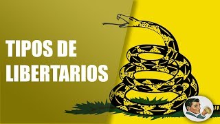 Tipos y Diferencias de Liberales y Libertarios [upl. by Ellivnarg]