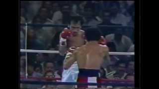 Wilfredo Gomez vs Carlos Zarate full fight HD [upl. by Manoop]