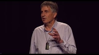 The First 1000 Days  Johan Morreau  TEDxTauranga [upl. by Geordie]