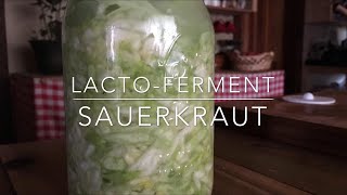 How To Make Your Own LactoFermented Sauerkraut [upl. by Reedy]