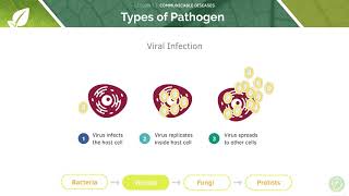 AQA GCSE Biology Communicable Infectious Diseases [upl. by Eednahs]