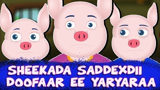 SHEEKADA SADDEXDII DOOFAAR EE YARYARAA  Sheeko caruureed  Three Little Pigs  Somali Moral Stories [upl. by Tali]