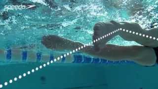 Freestyle Swimming Technique  Kick [upl. by Buckden791]