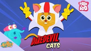 How Do Cats Survive Massive Falls  The Dr Binocs Show  Learning Videos For Kids  Peekaboo Kidz [upl. by Ottinger407]