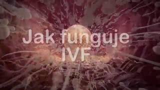 Jak funguje IVF [upl. by Sharlene]