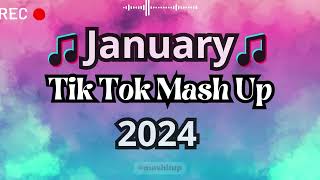 TikTok Mashup 2024 🎵 [upl. by Araccot]