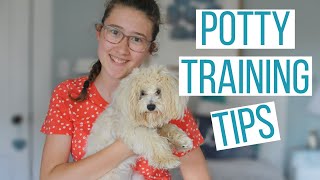 HOW TO POTTY TRAIN YOUR MALTIPOO PUPPY  6 Tips to Potty Train Your Dog Faster amp Use a Potty Bell [upl. by Hoy328]