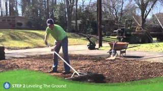 How to lay sod in your yard [upl. by Yvan]