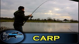 How to catch Carp with Prawns  The Totally Awesome Fishing Show [upl. by Anerroc]