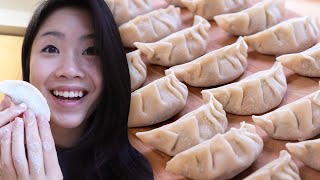 I Made Homemade Dumplings From Scratch [upl. by Ahsikyw]