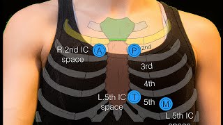 Sternal angle [upl. by Ekle]