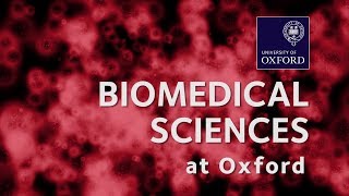 Biomedical Sciences at Oxford University [upl. by Pul]