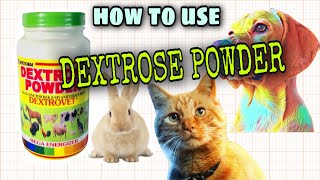 HOW TO USE DEXTROSE POWDER AND ITS BENEFITS TO PETS dextrosepowder [upl. by Nancee]