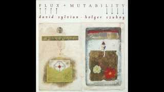 David Sylvian and Holger Czukay  Mutability A New Beginning Is in the Offing [upl. by Kaitlyn]