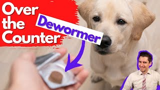 Over the Counter Dog Dewormer Dr Dan talks dewormers [upl. by Assilav306]